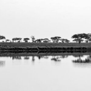 Beauty of wildlife by Camille Massida Photography